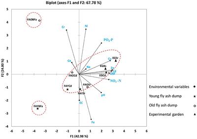 Environmental Predictors of Indole Acetic Acid Producing Rhizobacteria at Fly Ash Dumps: Nature-Based Solution for Sustainable Restoration